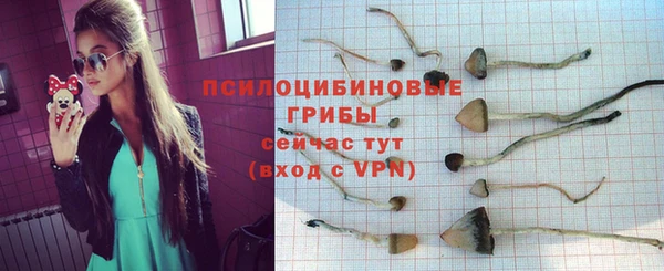 ECSTASY Дмитровск